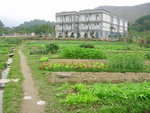 小田園風光 (1)