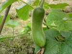 DSC00006