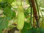 DSC00008