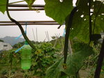 DSC00009