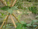 DSC00010