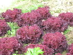 DSCN0358