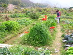 DSCN0363