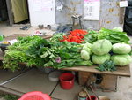 DSCN0367