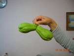 DSCN0994