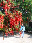 DSCN1145