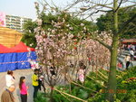 DSCN1151