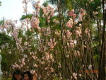 DSCN1154