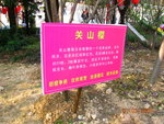 DSCN1162