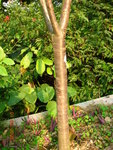 DSCN1165