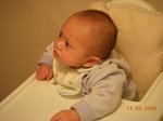 ap_20081105080653827
