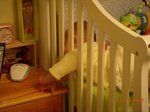 ap_20081105080850309