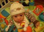 ap_20081123054952180