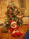 ap_20081227103826577