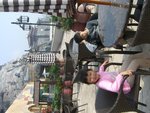 Photo 016