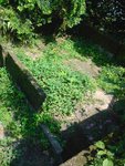 DSC00087