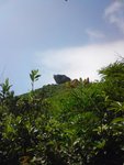 DSC00088