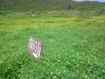 DSC00110