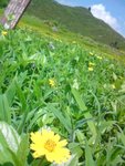 DSC00111