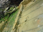DSC00118