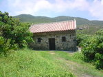DSC00123