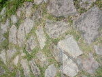 DSC00124