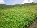 DSC00125