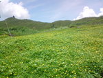 DSC00126