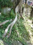DSC00142