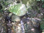 DSC00147