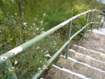 DSC00116