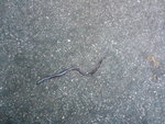 DSC00148