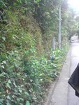 DSC00150