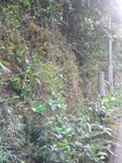 DSC00151