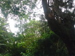 DSC00153