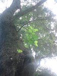 DSC00156