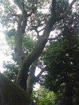 DSC00162