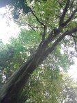 DSC00163