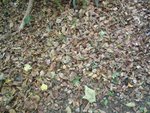 DSC00165