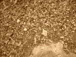 DSC00166