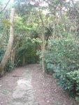 DSC00170