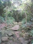 DSC00172