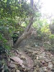 DSC00173