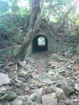 DSC00174