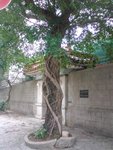 DSC00190