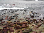 DSC00202