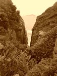 DSC00205