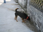 IMG_9419