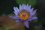 IMG_6531