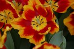 IMG_6539